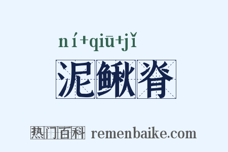 泥鳅脊是什么意思的图片